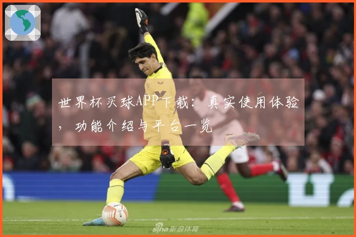 世界杯买球APP下载：真实使用体验，功能介绍与平台一览