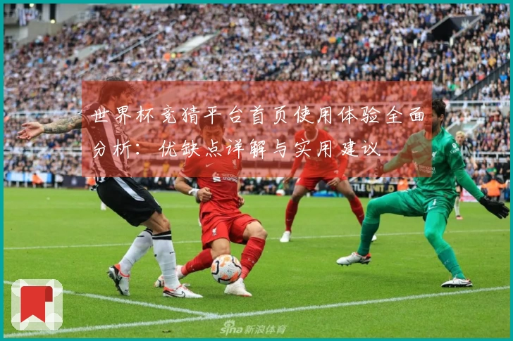 世界杯竞猜平台首页使用体验全面分析：优缺点详解与实用建议