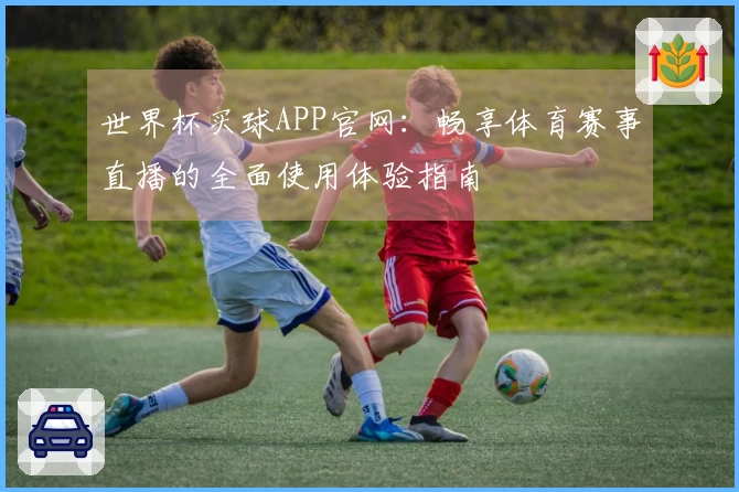 世界杯买球APP官网：畅享体育赛事直播的全面使用体验指南